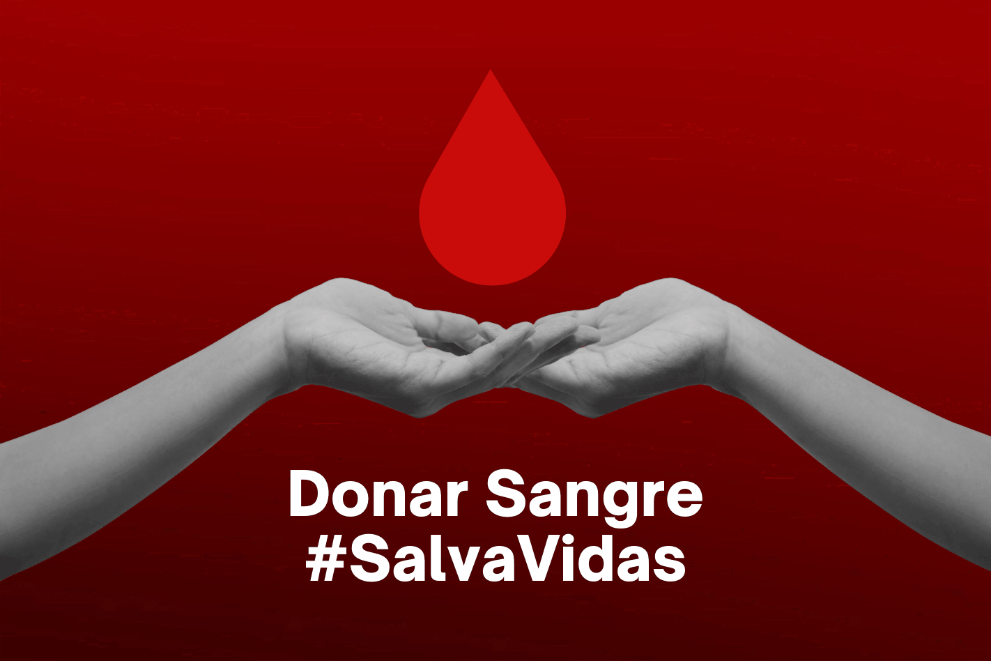 Donación voluntaria de sangre para el Garrahan